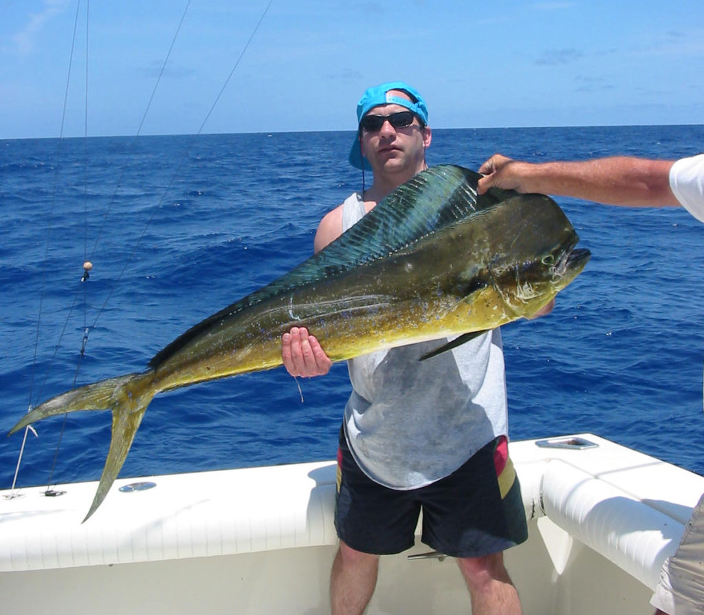 Mahi Mahi