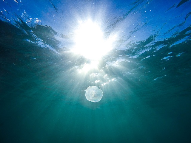 sea
