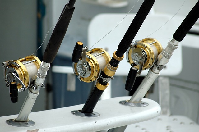 fishing reels